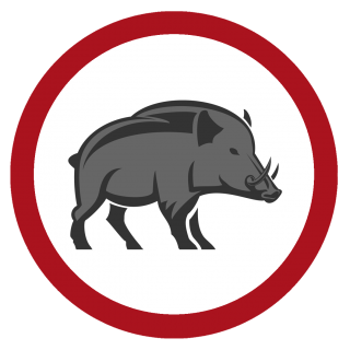Wildschwein-Logo-Rund-1-320x320 Kooperationspartner und befreundete Seiten / Blogs